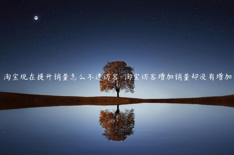 淘寶現(xiàn)在提升銷(xiāo)量怎么不進(jìn)訪(fǎng)客-淘寶訪(fǎng)客增加銷(xiāo)量卻沒(méi)有增加